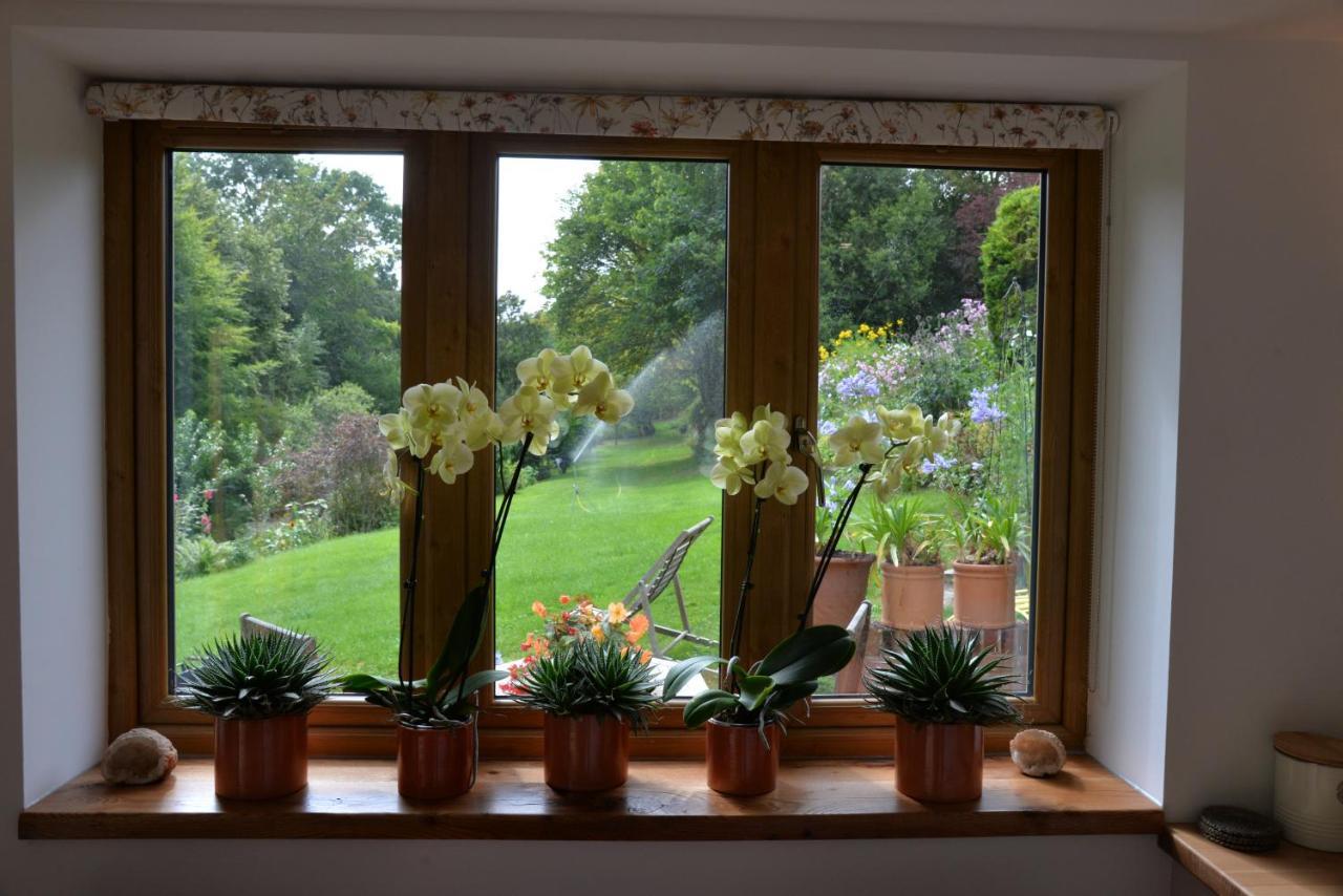Thatchcombe B&B Wantage Eksteriør billede