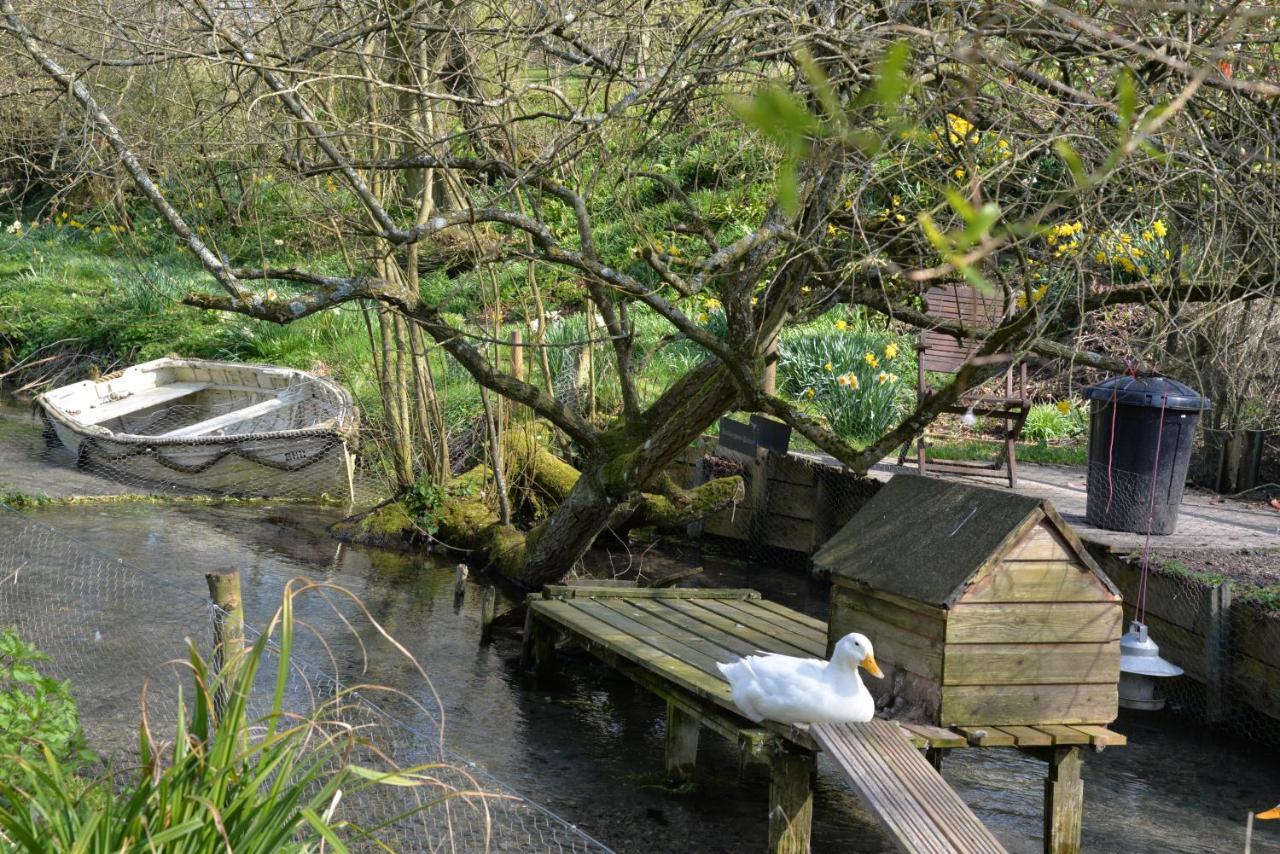 Thatchcombe B&B Wantage Eksteriør billede
